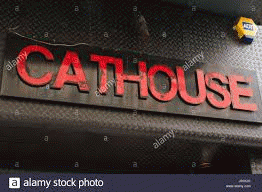 photo of Cathouse Glasgow